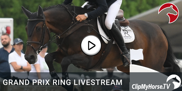 GRAND PRIX RING LIVESTREAM